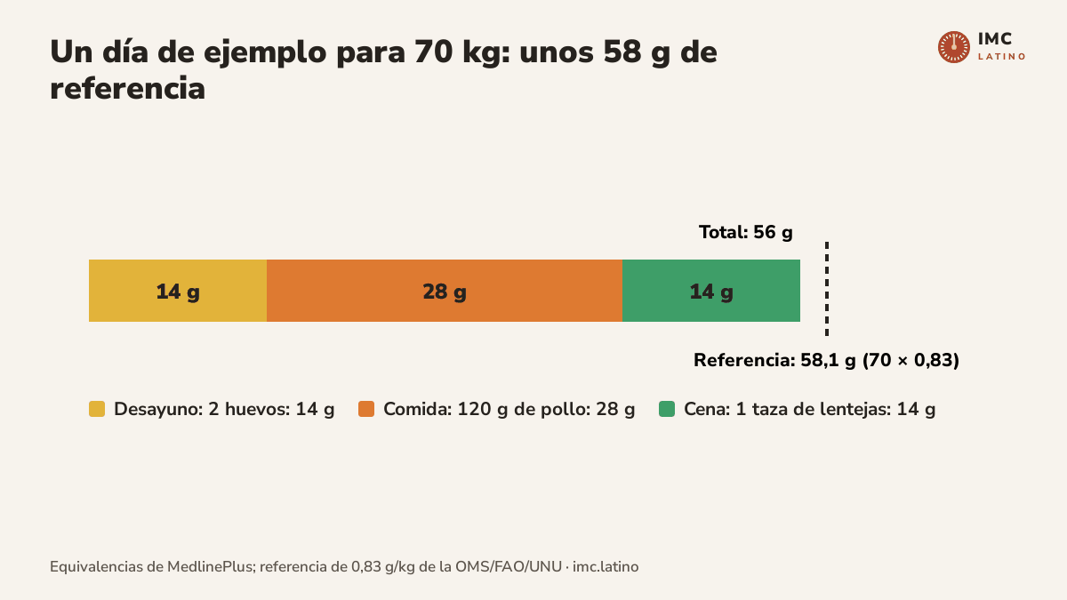 Gráfico de barras apiladas con un día de ejemplo: desayuno con 2 huevos que aportan 14 gramos, comida con 120 gramos de pollo que aportan 28 gramos y cena con una taza de lentejas que aporta 14 gramos, en total 56 gramos frente a una referencia de 58,1 gramos para 70 kilos