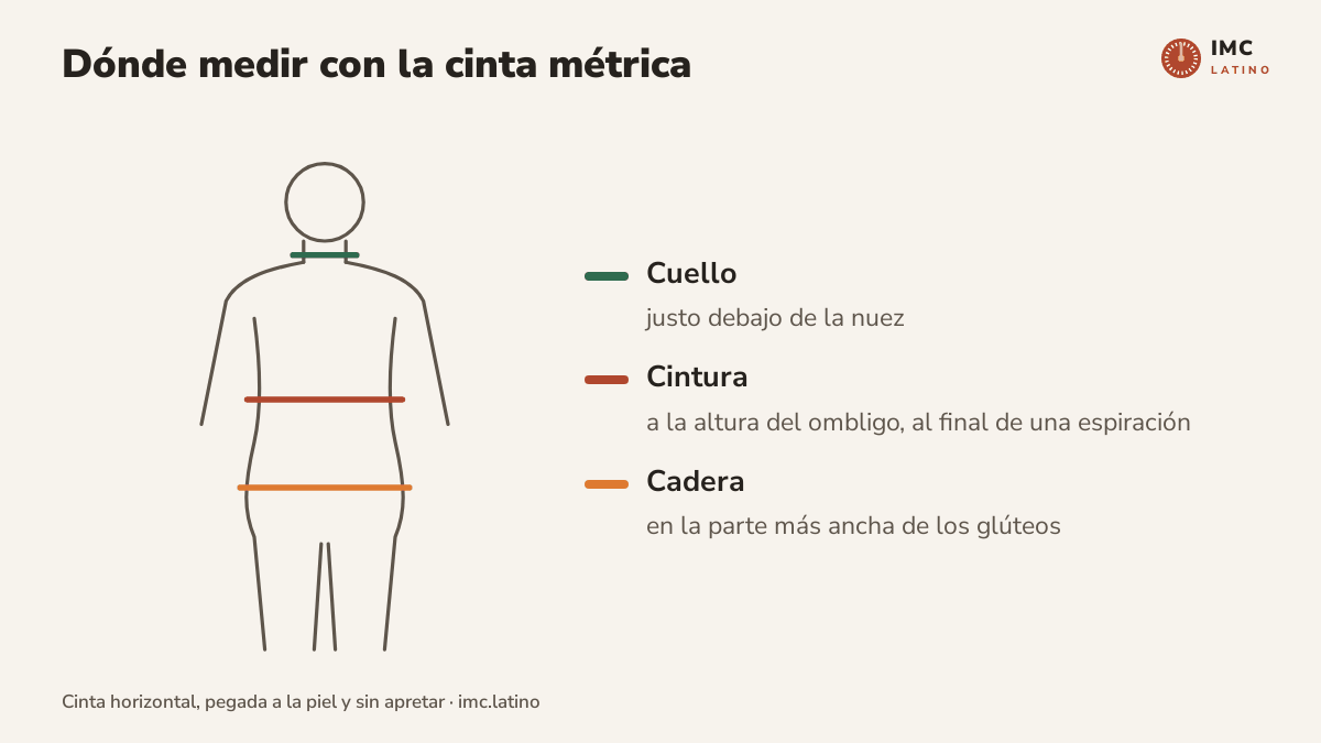 Ilustración de una silueta con tres líneas que indican dónde medir: el cuello justo debajo de la nuez, la cintura a la altura del ombligo y la cadera en la parte más ancha de los glúteos